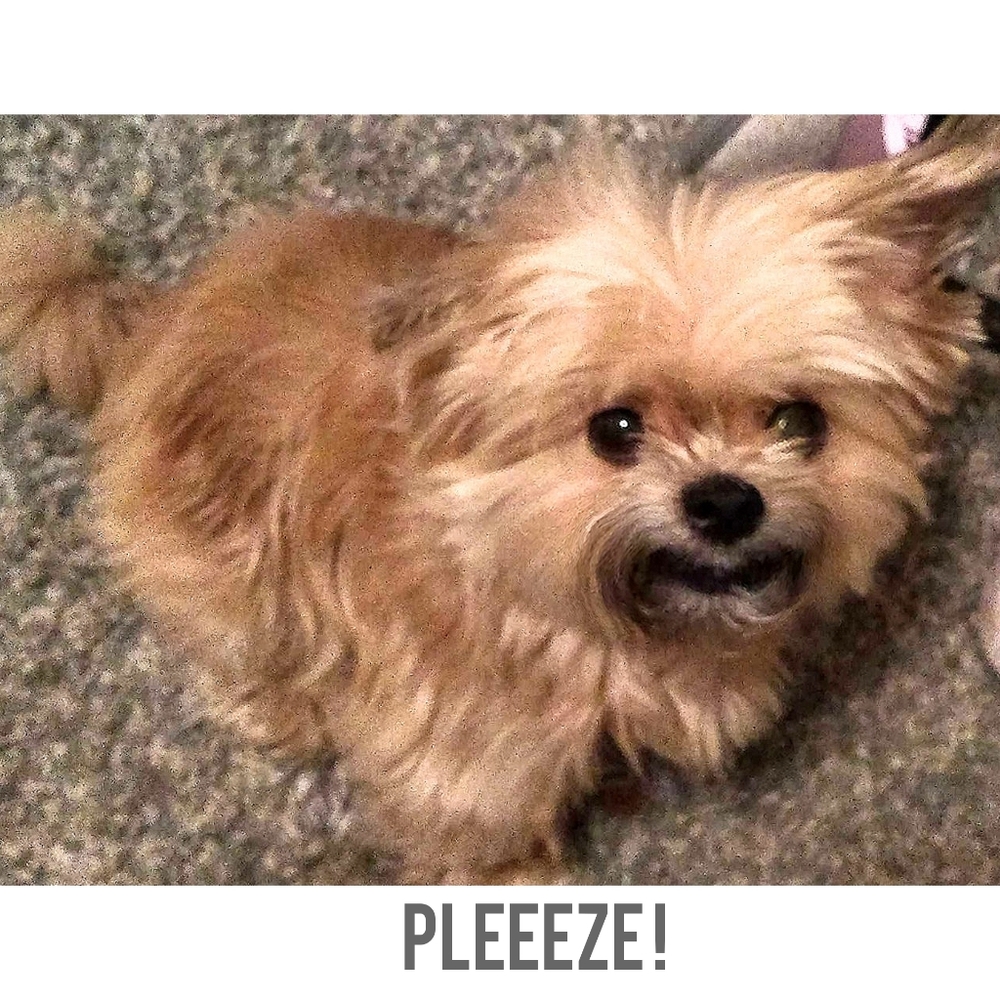 Bundle 2 Get 20% off!